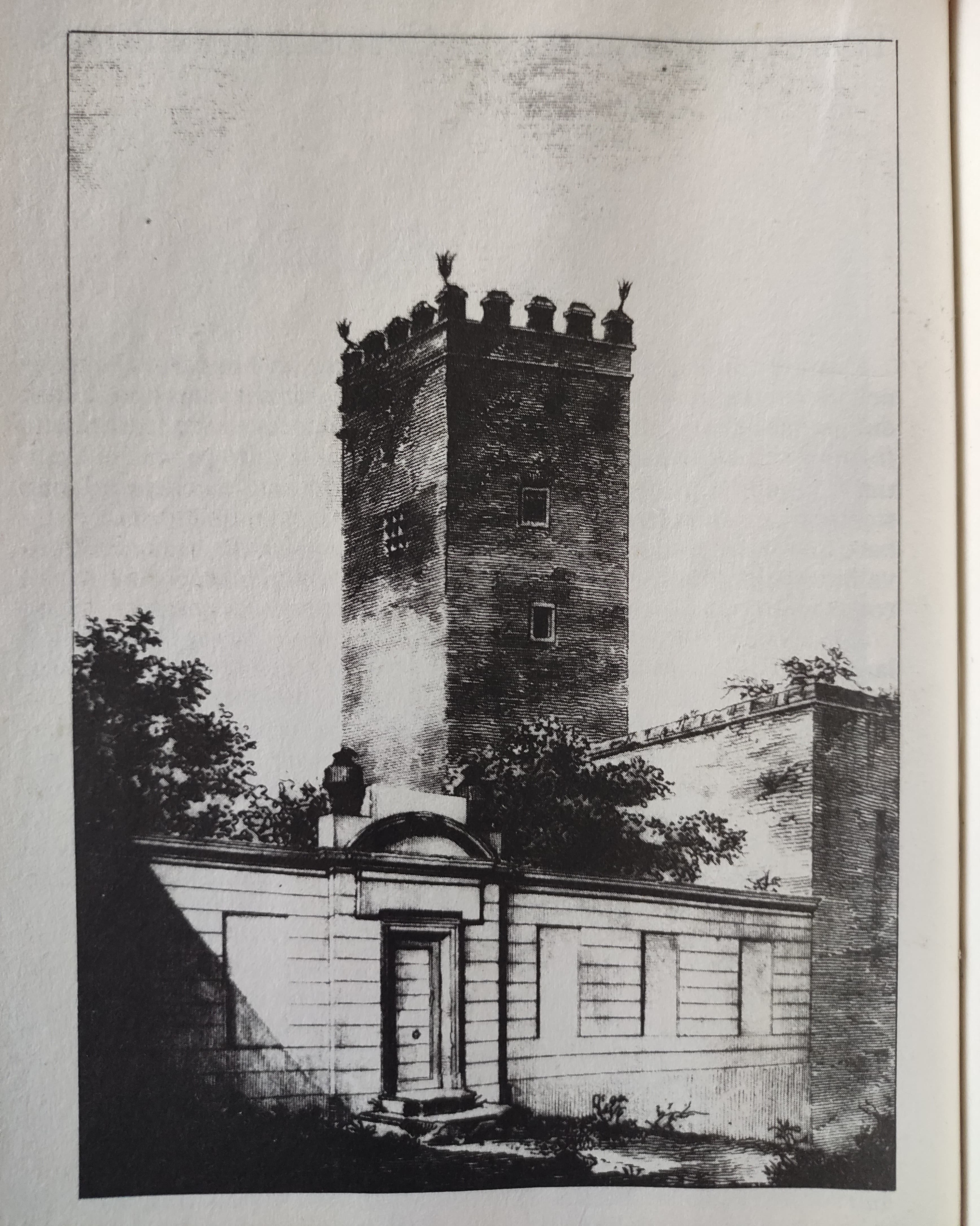 Dettaglio della Torre dei Capocci